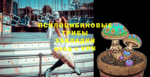Альфа ПВП Алзамай