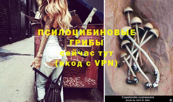 Альфа ПВП Алзамай
